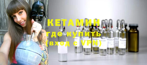 хмурый Каменка