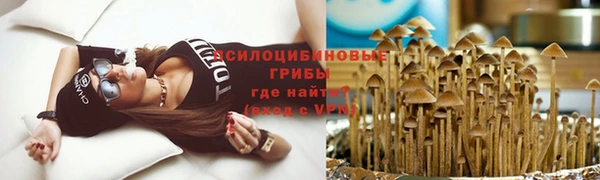 прущая мука Белокуриха