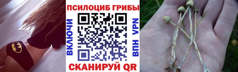 Псилоцибиновые грибы Psilocybine cubensis  купить наркотик  Красный Сулин 